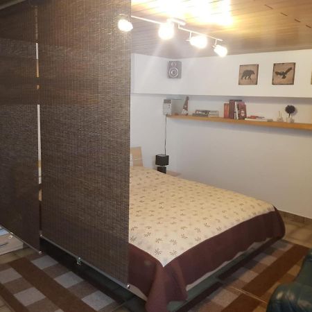 Gemuetliche Ferienwohnung Mit Kamin Und Sauna! Nistertal Ngoại thất bức ảnh