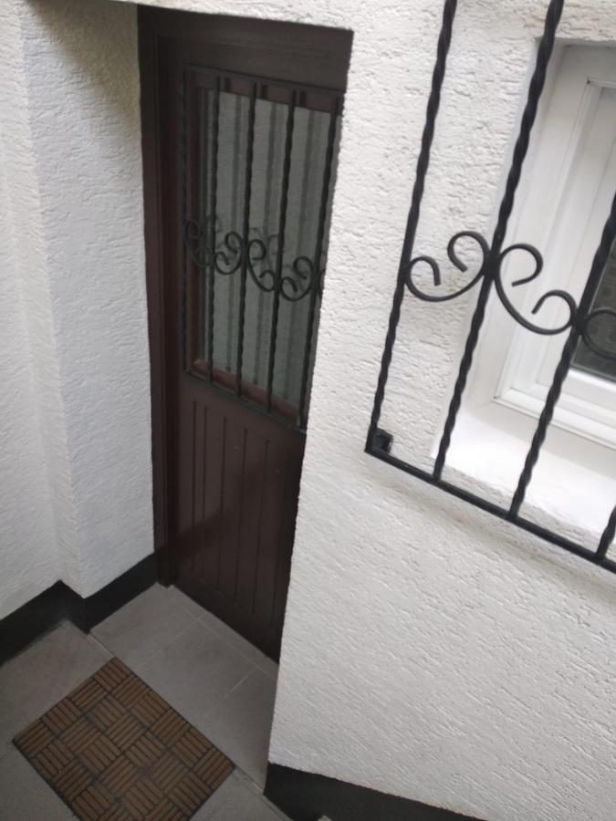 Gemuetliche Ferienwohnung Mit Kamin Und Sauna! Nistertal Ngoại thất bức ảnh