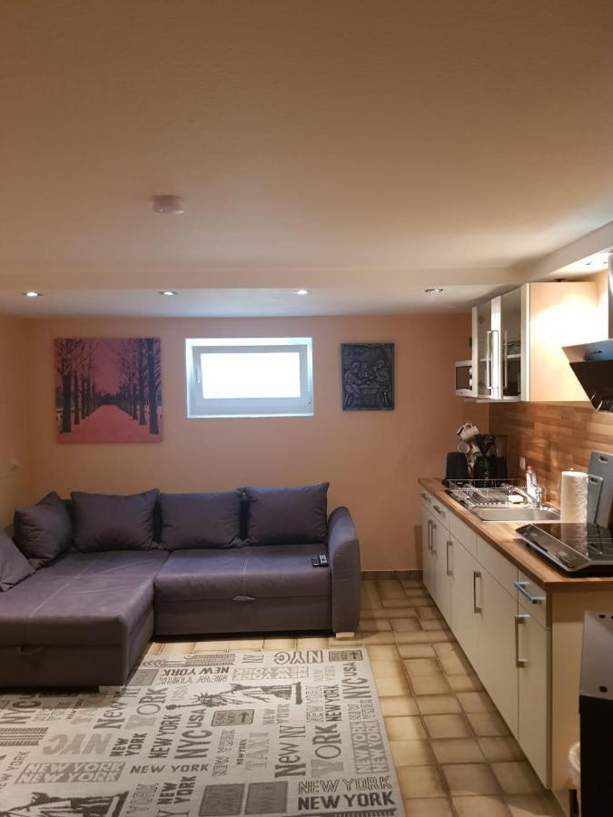 Gemuetliche Ferienwohnung Mit Kamin Und Sauna! Nistertal Ngoại thất bức ảnh