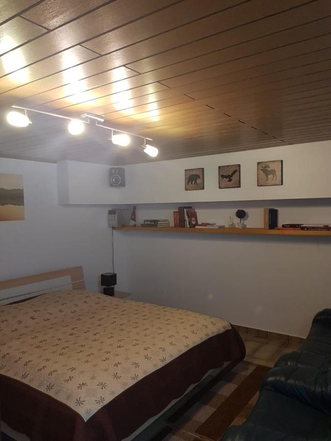 Gemuetliche Ferienwohnung Mit Kamin Und Sauna! Nistertal Ngoại thất bức ảnh